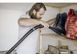 Професійний пилосос Karcher WD3S Premium inox (1.628-135.0) WD3S фото 2