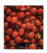 Ваги кухонні Ardesto SCK-893CHERRY SCK-893 фото 1